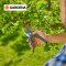 Gardena Secateurs PremiumCut Pro​ Flex, Bypass, green wood, 24 mm cutting diameter (12252-20)