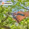 Gardena Secateurs PremiumCut Pro​ Flex, Bypass, green wood, 24 mm cutting diameter (12252-20)