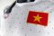 2014 -2015 Vietnam National Team Genuine Official Football Soccer Jersey Shirt White Away Player Edition