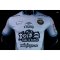 Thailand TWSPORT FC JERSEY Gray