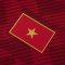 2019 Vietnam National Team Genuine Official Football Soccer Jersey Shirt Home Red - Player Version
