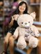 ตุ๊กตาหมีตัวใหญ่ ขนกุหลาบ ผูกผ้าพันคอ ที่แขนปัก Gift for you  ขนาด 1.1 เมตร