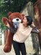 ตุ๊กตาหมีตัวใหญ่ หน้ายิ้ม  ขนาด 1.2 เมตร
