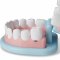 [25ชิ้น] รุ่น 8611 อุปกรณ์หมอฟัน เครื่องมือทันตแพทย์ ชุดฟัน ชุดจัดฟัน ขัดฟัน Melissa & Doug Dentist Kit Playset