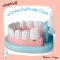 [25ชิ้น] รุ่น 8611 อุปกรณ์หมอฟัน เครื่องมือทันตแพทย์ Melissa & Doug Dentist Kit Playset รีวิวดีใน Amazon USA ชุดฟัน ชุดจัดฟัน ขัดฟัน อุปกรณ์ 25 ชิ้นครบ