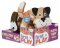 3028 Playful Puppy Pull Toy