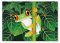 Red-Eyed Tree Frog Cardboard Jigsaw Puzzle - 60 Pieces