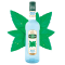 Mathieu Teisseire Syrup Iced Mint