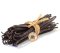 Vanilla Bean Stick "Madagascar" Premium Grade