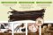 Vanilla Bean Stick "Madagascar" Premium Grade