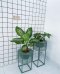 ROUND POT STAND
