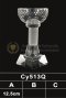 ถ้วยรางวัลคริสตัล CY513Q