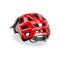 Crossway Black-Red (Shiny)