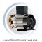 ปั๊มน้ำแบบอัตโนมัติแรงดันคงที่ ขนาด 300 วัตต์ รุ่น EP-305R ปั๊มน้ำมิตซูบิชิ อีเล็คทริค R Series