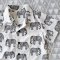 BOYS&GIRLS WHITE ELEPHANTS SHIRTS / 100% PRINTED COTTON