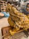 ชุด เต่ามังกร ไม้ทองคำแกะสลัก ขนาด 68 cm.