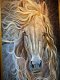 "ม้าสีหมอก" ภาพวาดสีอะคริลิค