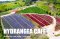 Hydrangea Cafe 