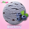 Mr.Froyo Yogurt Ice Cream (BLUEBERRY)