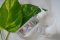 coconut oil 100 ml.