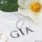 WD460 GIA Halo Diamond Ring