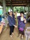 3A+ไคโตซาน ลดต้นทุน เพิ่มผลผลิต - รับสมัครตัวแทนจำหน่าย