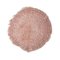 CUSHION ROSE