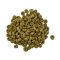 OXBOW HAMSTER & GERBILLS 1.5 LB.