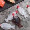 Sauce bottle fish size S (3.7 ml.) (250 pcs)