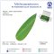 Bamboo-shaped LEAF SASAGATA M (1000 pcs)