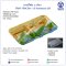 TRAY NDC26-15 kawasasa LB (50 set)