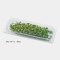 กล่องพลาสติกใสใส่อาหาร SHL-24-C (50ชิ้น)