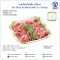 ถาดโฟมใส่เนื้อ ถาดอาหารทรงเหลี่ยม (50ชิ้น)