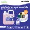 洗浄・除菌剤 Smart San Sanitizing Cleaner J-3
