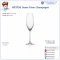 แก้วไวน์ Sante Flute Champagne รุ่น SANTE1026F07B 210 มล.
