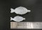 ขวดซอสรูปปลา ขนาด L (8 มล.) (100 ชิ้น)