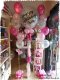 Pinky Wink Set