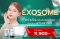 EXOSOME