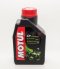 MOTUL