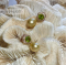 Cut Peridot fresh water Earrings Sterling Silver and Navy gemstone baroque Pearl earrings