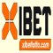 Xibet