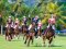 Polo sport at Singapore | Event Photographer