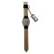 Aigner Siena Watch AGW244003