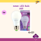 EVE Led Bulb A60