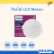 LED Meson