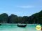 เที่ยวเกาะพีพี  เกาะไผ่ อ่าวมาหยา  วันเดียว  เช้าไป-เย็นกลับ   โดยเรือเร็ว Speed Boat