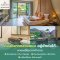 แพ็คเกจกระบี่ 3 วัน 2 คืน โรงแรมมีสวนน้ำ  ที่พัก+ทัวร์ดำน้ำ