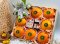 RB025 Orange+Vita14