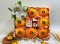 RB025 Orange+Vita14