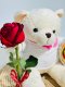 LOVE001: ตุ๊กตาหมีกอดช็อคโกแลตเฟอเรโร่+ ดอกกุหลาบ1 ดอก